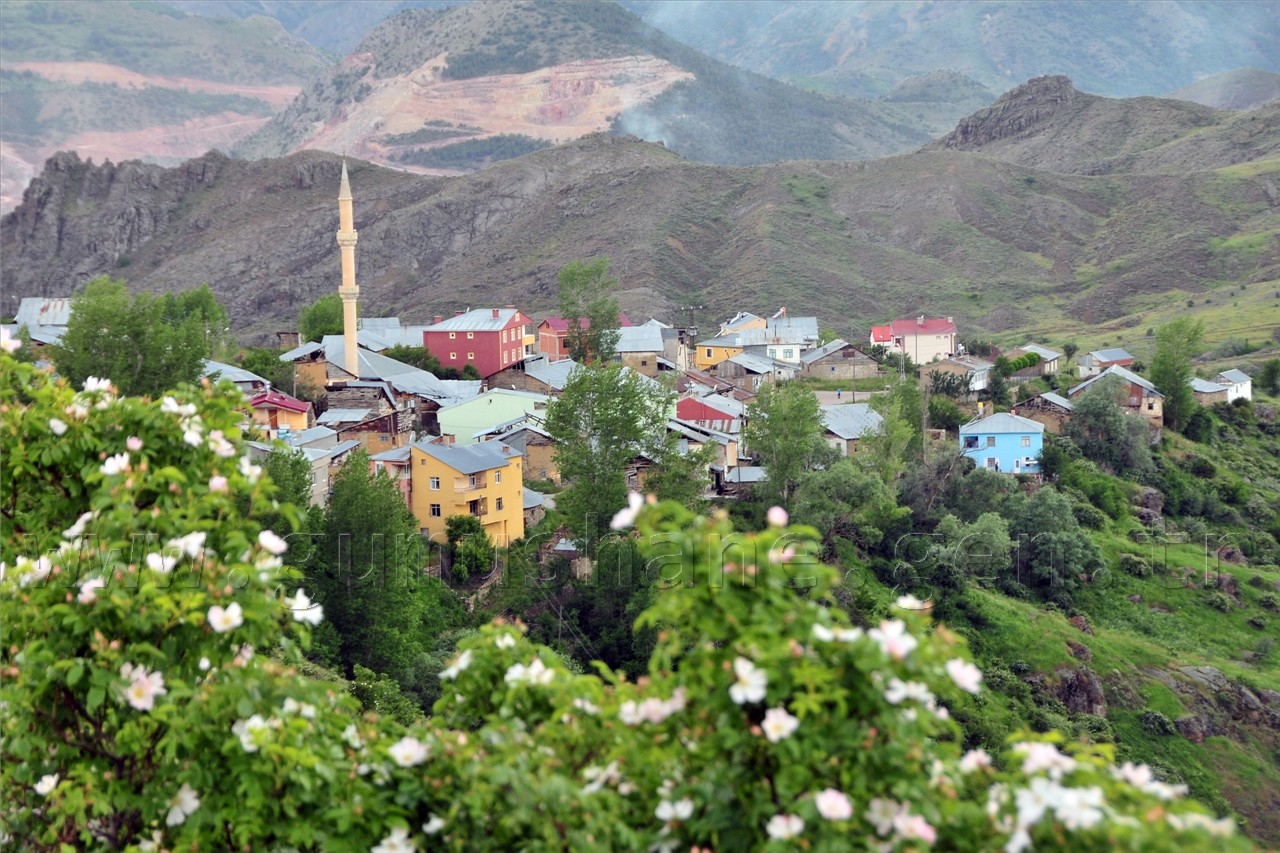 Gümüşhaneli Dağcılar Süle Köyünde Keşfe Çıktı 74