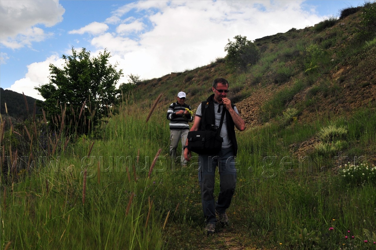 Gümüşhaneli Dağcılar Süle Köyünde Keşfe Çıktı 75