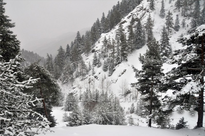 Tipi Altında 2 Bin 100 Metreye Yürüyüş 38