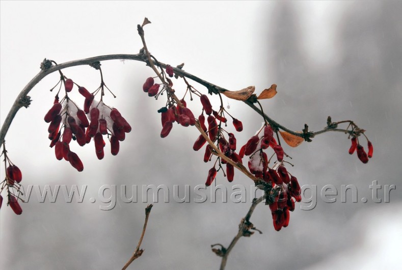 Tipi Altında 2 Bin 100 Metreye Yürüyüş 43