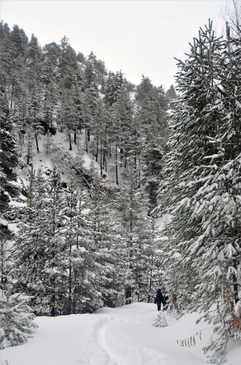 Tipi Altında 2 Bin 100 Metreye Yürüyüş 48