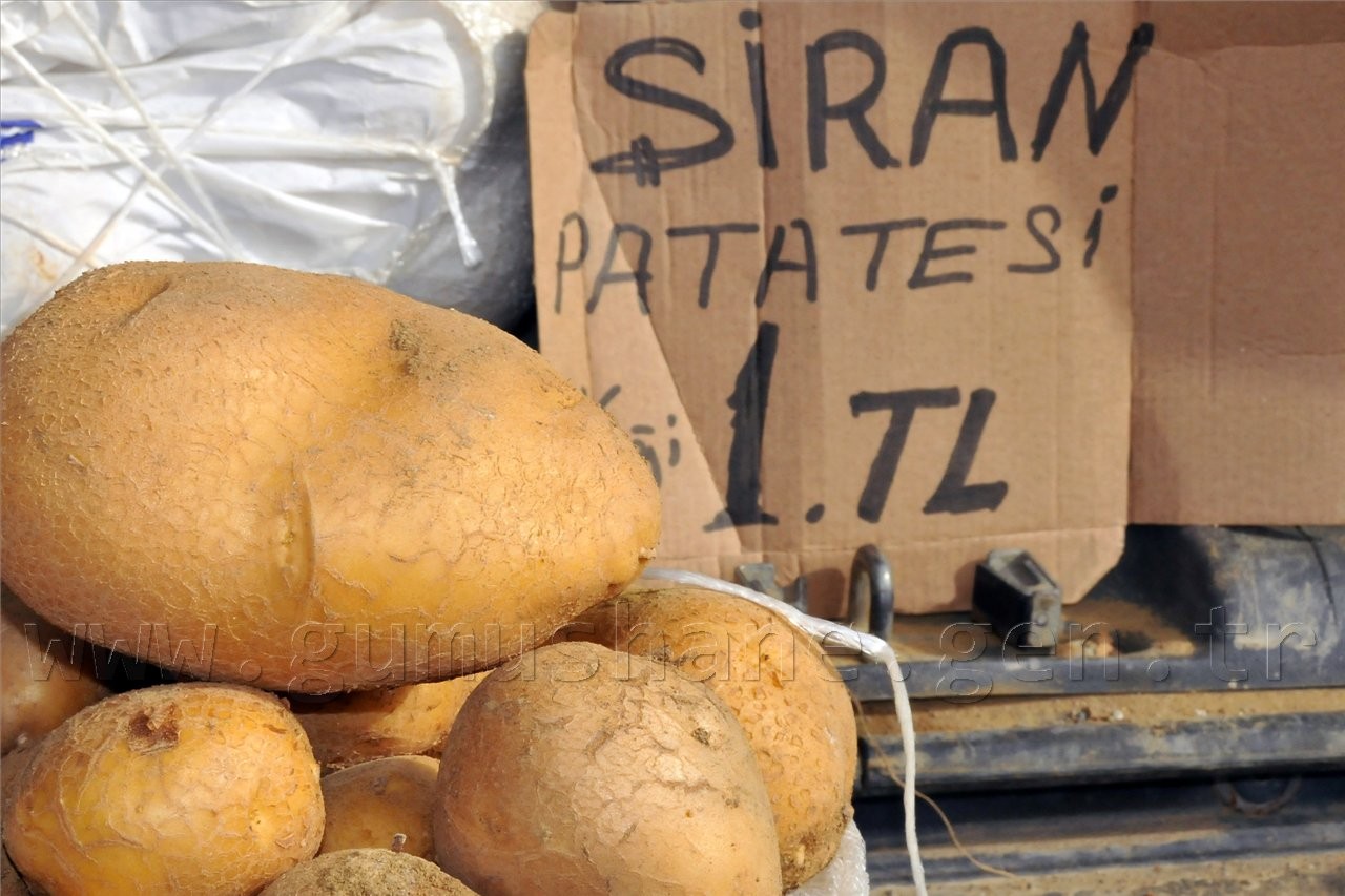 Gümüşhaneli Genç Patates Üreticisi Hedef Büyüttü 3