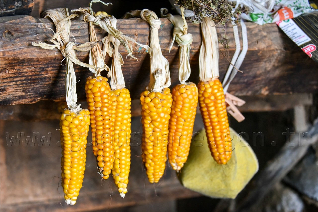 Gümüşhaneli Dağcılardan Yılın Son Yürüyüşü Cebeli Köyüne 35
