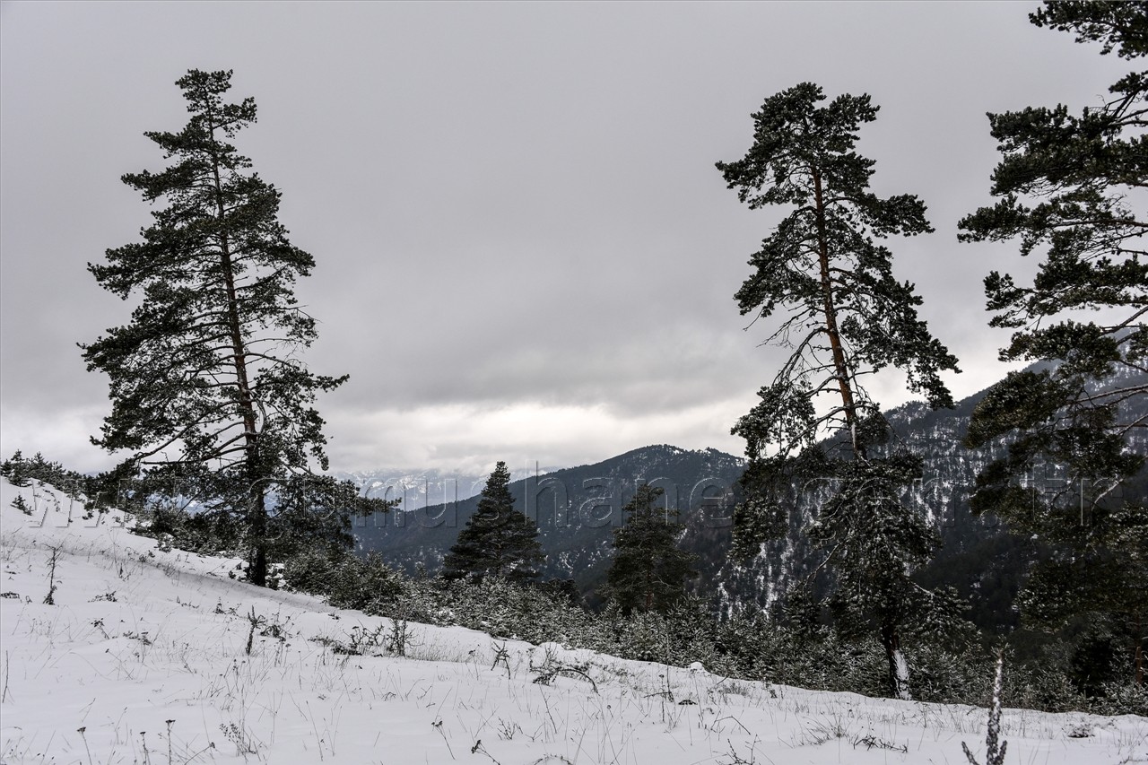 Gümüşhaneli Dağcılardan Yılın Son Yürüyüşü Cebeli Köyüne 46