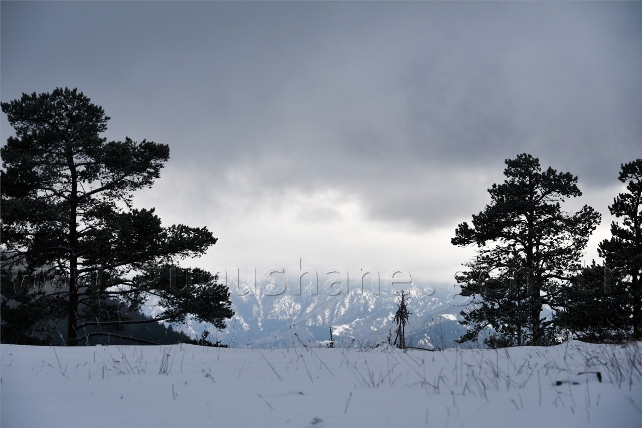 Gümüşhaneli Dağcılardan Yılın Son Yürüyüşü Cebeli Köyüne 47
