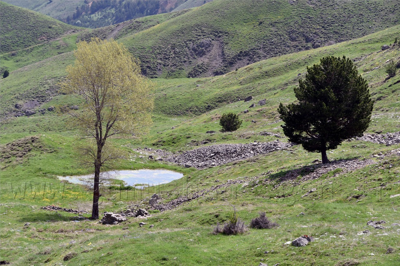 Gümüşhaneli Dağcılar Göller Bölgesine Yürüdü 23