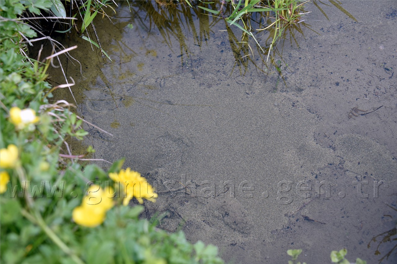 Gümüşhaneli Dağcılar Göller Bölgesine Yürüdü 24