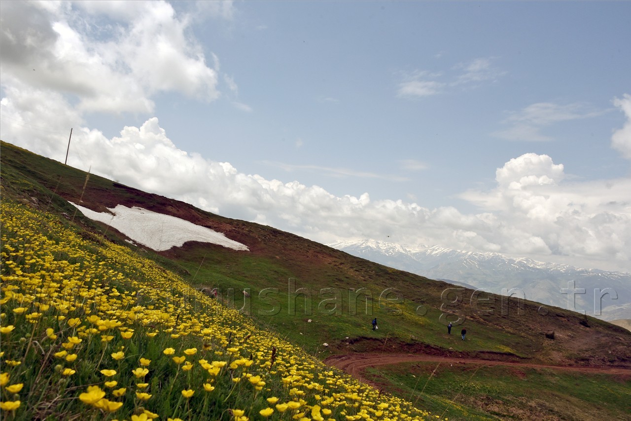 Gümüşhaneli Dağcılar Göller Bölgesine Yürüdü 39