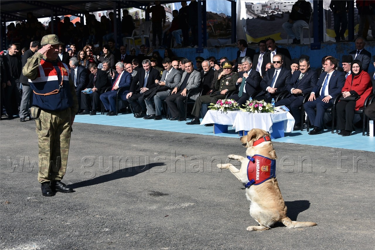 Gümüşhane'de Kurtuluş coşkusu 97 yaşında 43