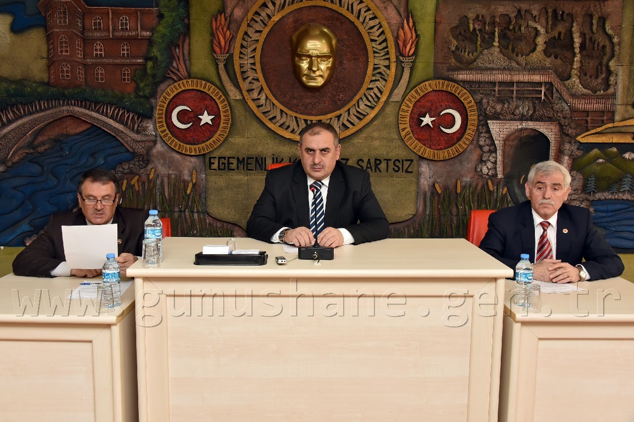 İl Genel Meclisi'nin Mart ayı toplantıları başladı 1