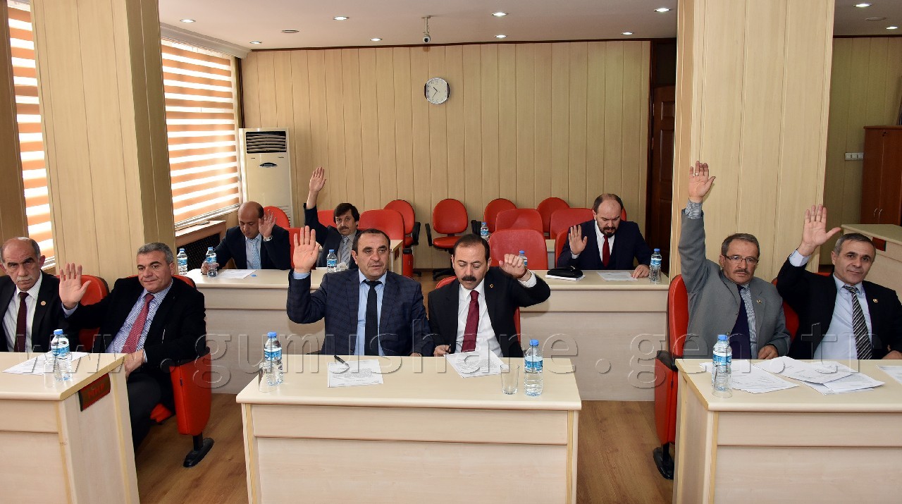 İl Genel Meclisi'nin Mart ayı toplantıları başladı 2