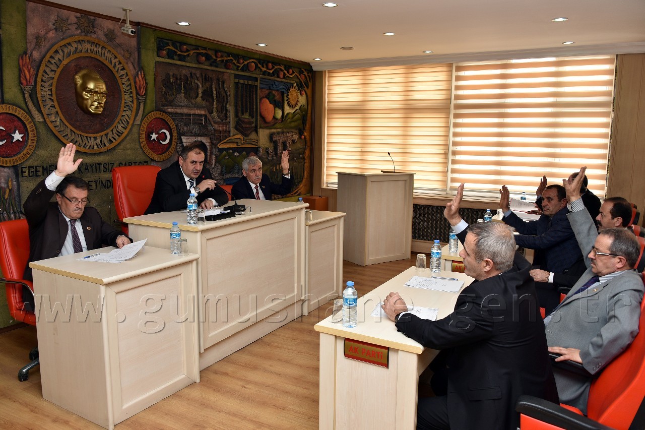 İl Genel Meclisi'nin Mart ayı toplantıları başladı 3