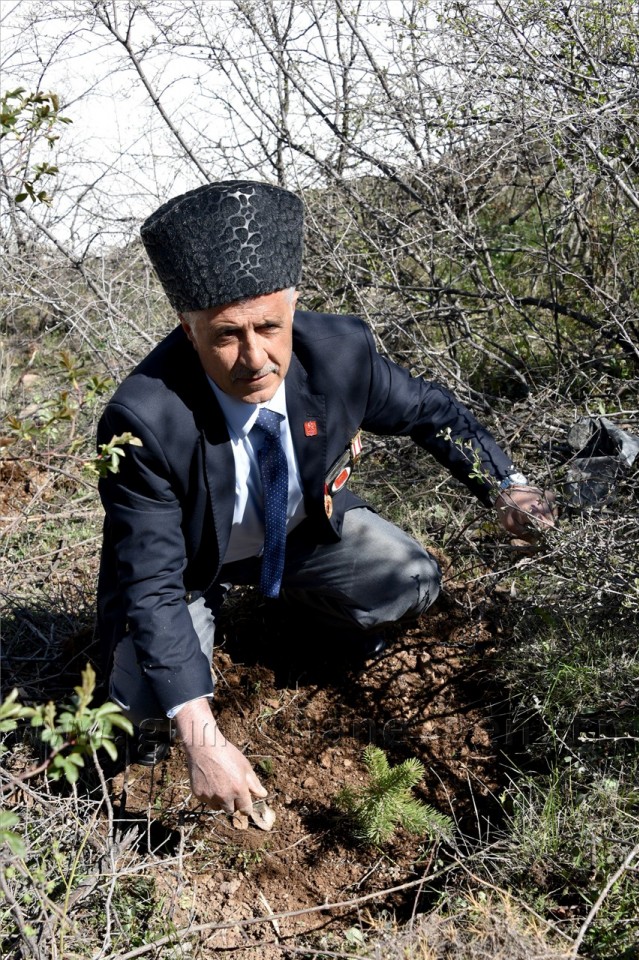 Gümüşhane Sarıkamış Şehitleri Ormanı Oluşturuldu 5