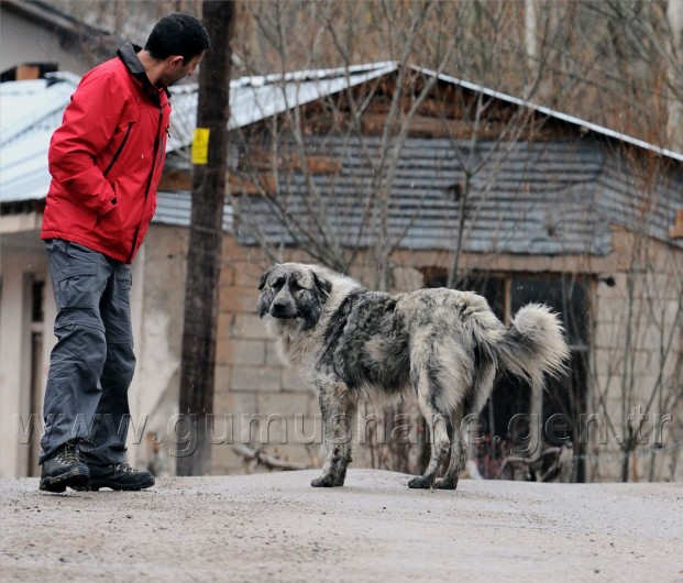 Tipi Altında 2 Bin 100 Metreye Yürüyüş 57