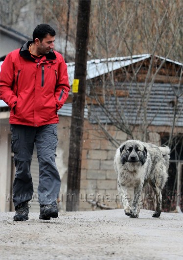 Tipi Altında 2 Bin 100 Metreye Yürüyüş 58