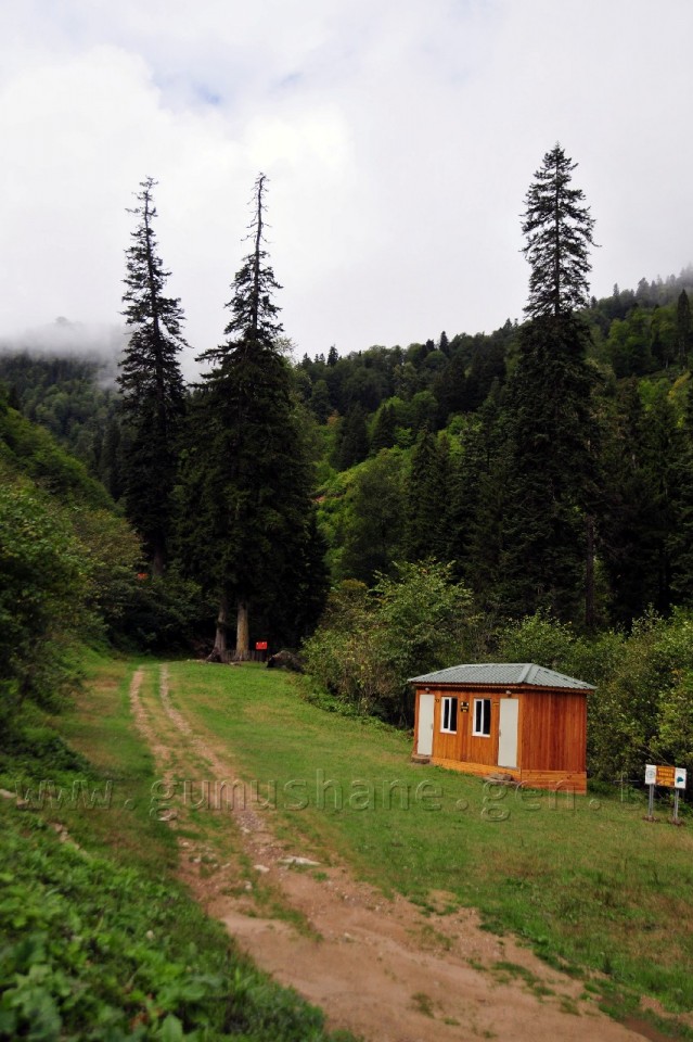 Gümüşhaneli Dağcılar Örümcek Ormanlarında Yürüdü 4