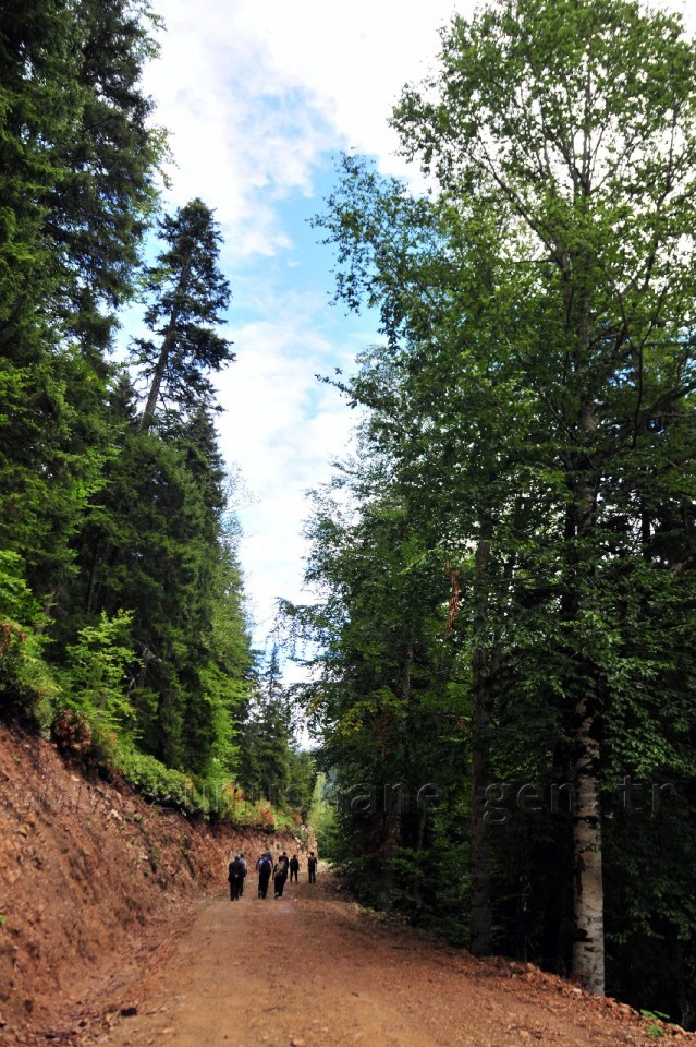 Gümüşhaneli Dağcılar Örümcek Ormanlarında Yürüdü 5