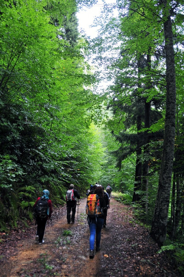 Gümüşhaneli Dağcılar Örümcek Ormanlarında Yürüdü 6