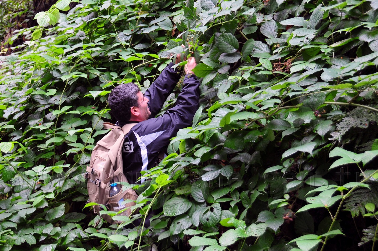 Gümüşhaneli Dağcılar Örümcek Ormanlarında Yürüdü 7