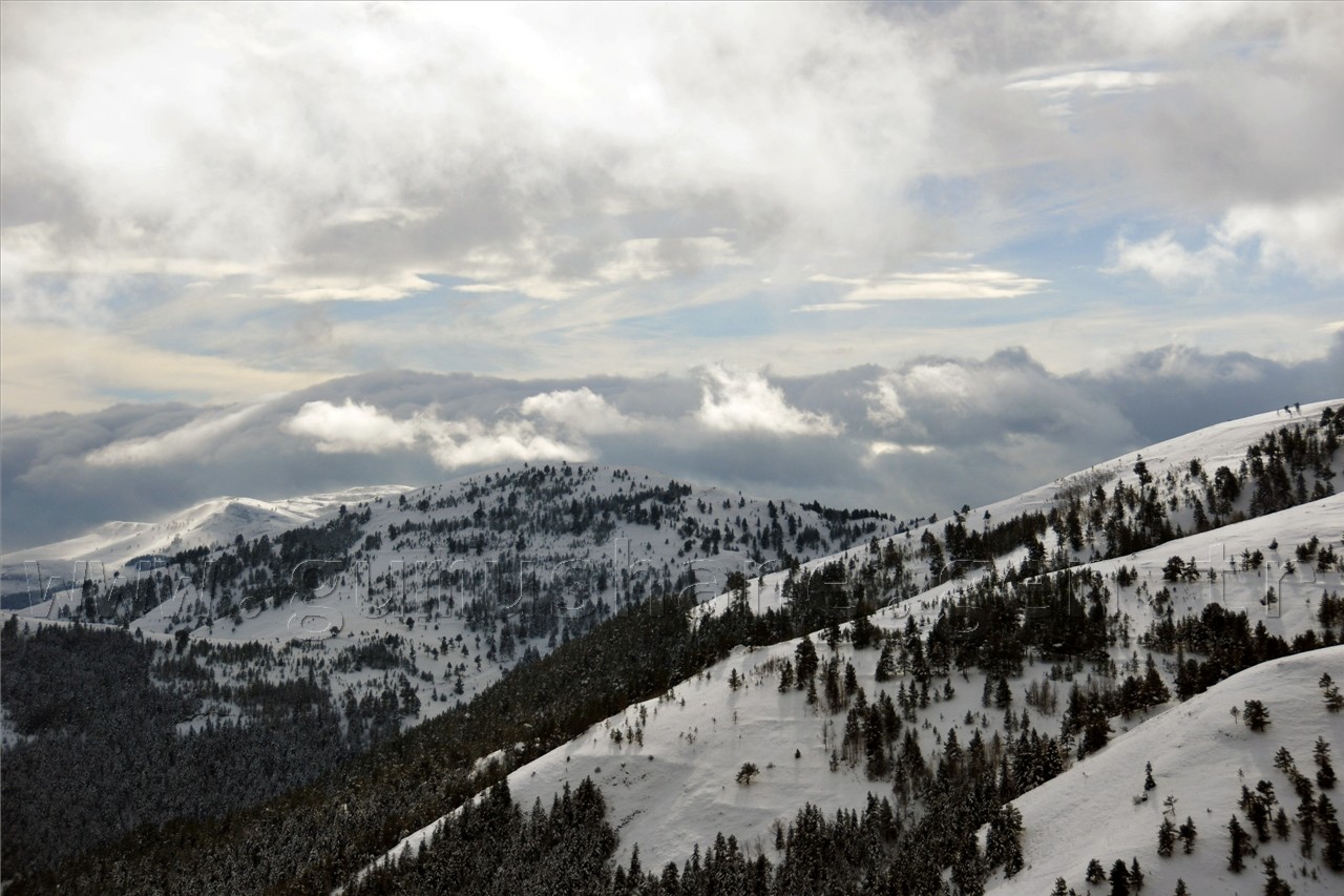 Gümüşhaneli Dağcılar Yalınkavak Yaylalarında 2