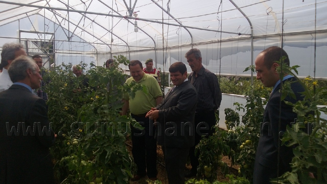 Vali Mayda Seralarda İnceleme Yaptı 1