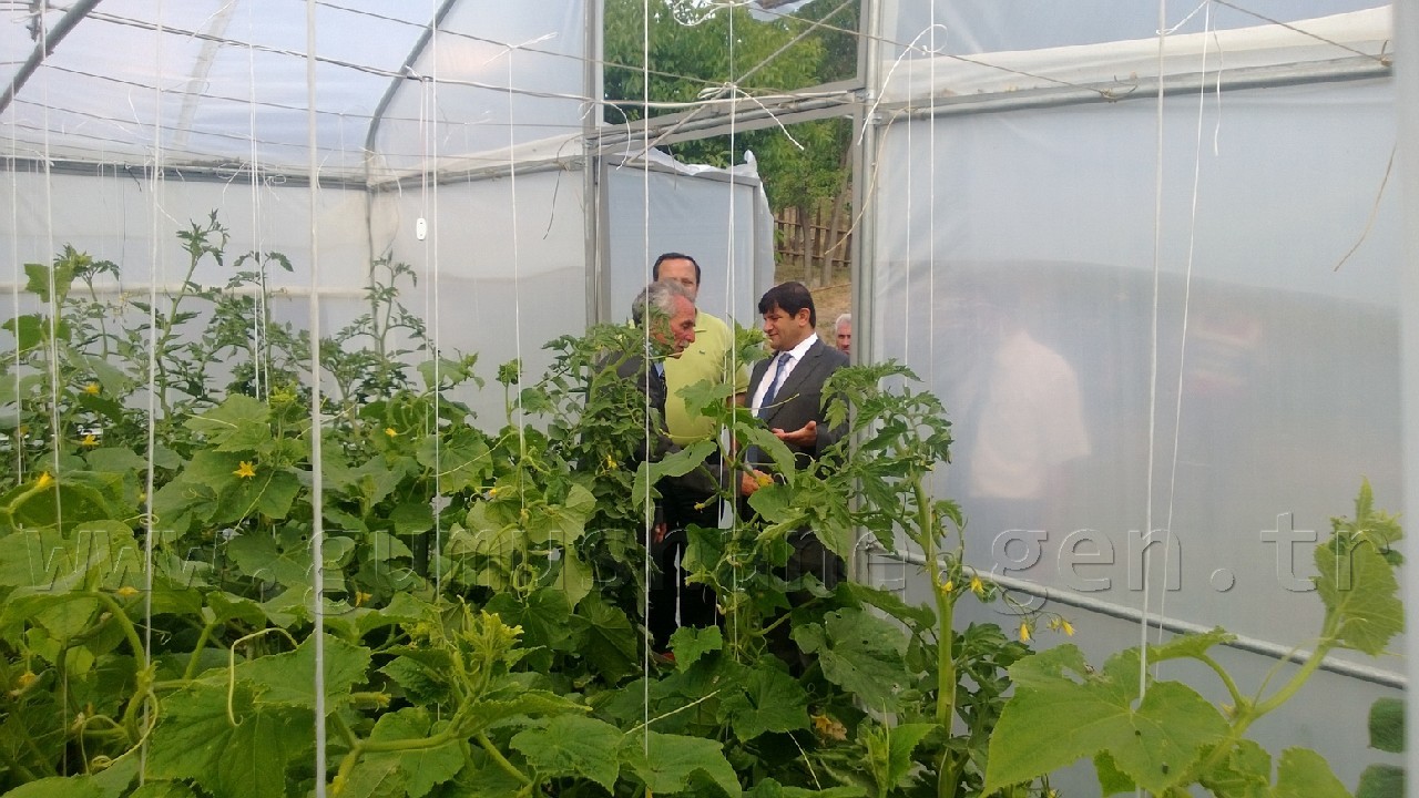 Vali Mayda Seralarda İnceleme Yaptı 5