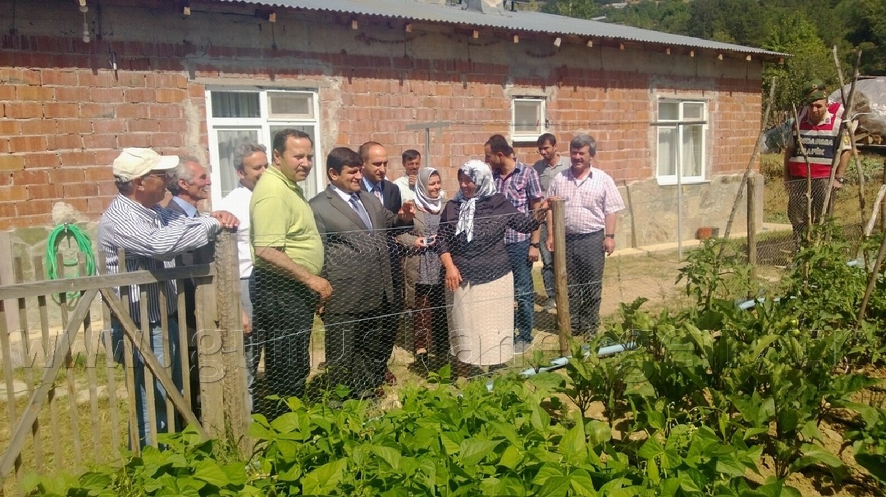 Vali Mayda Seralarda İnceleme Yaptı 6