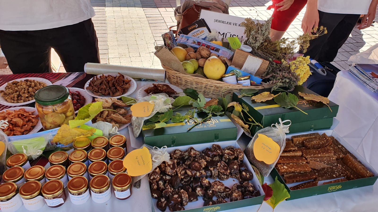 Türk Telekom Fen Lisesi Gümüşhane’yi temsil etti 6