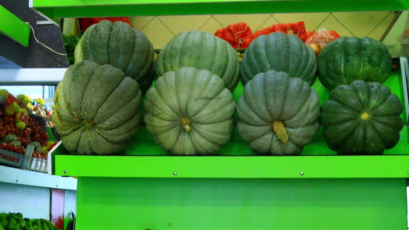 Gümüşhane’de devasa bal kabakları yoğun ilgi görüyor 1