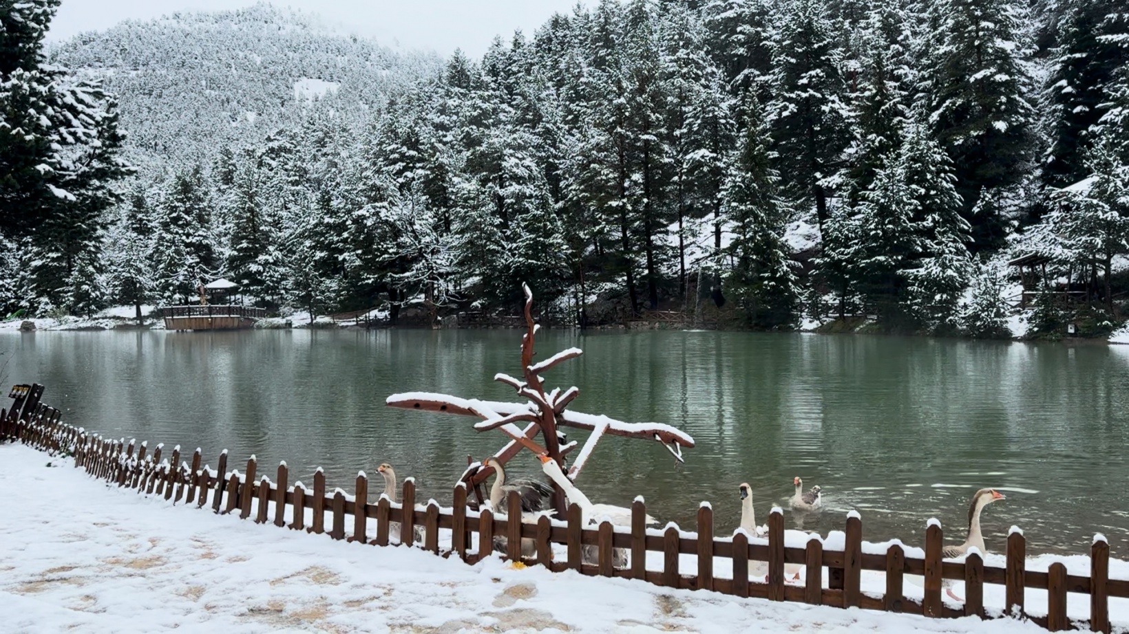 Gümüşhane’nin yüksekleri 5 Mayıs’ta beyaza büründü 3