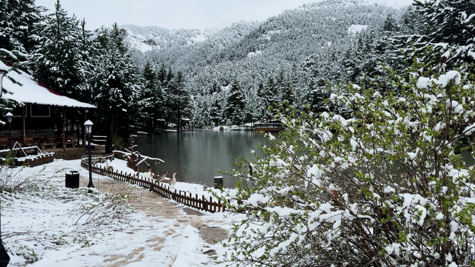 Gümüşhane’nin yüksekleri 5 Mayıs’ta beyaza büründü 4