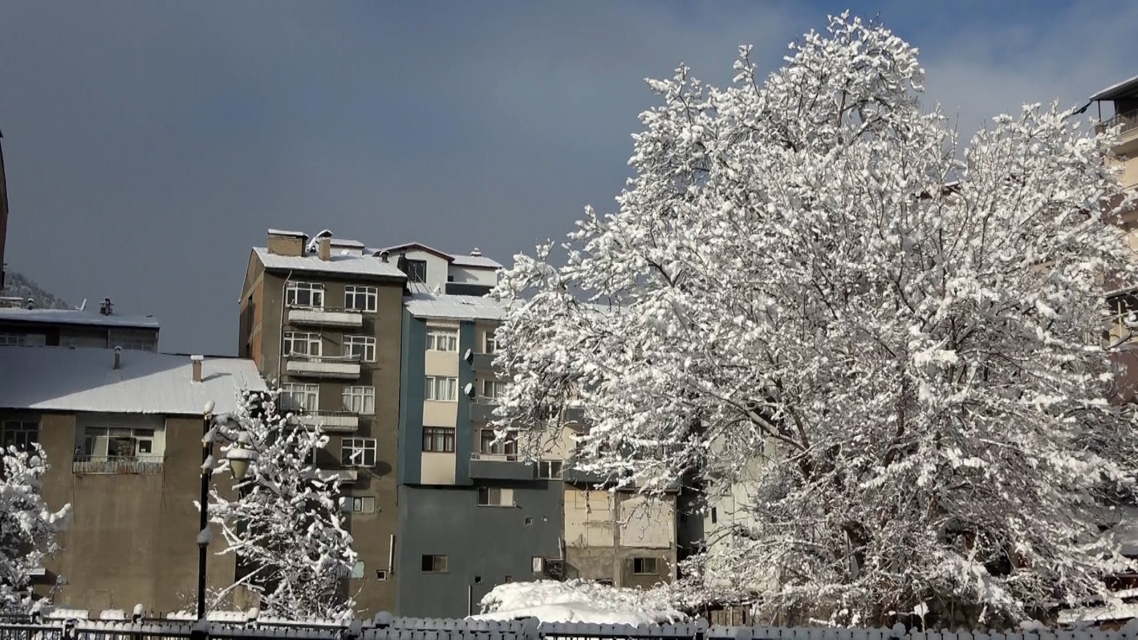 Gümüşhane’de karla gelen güzellik 4