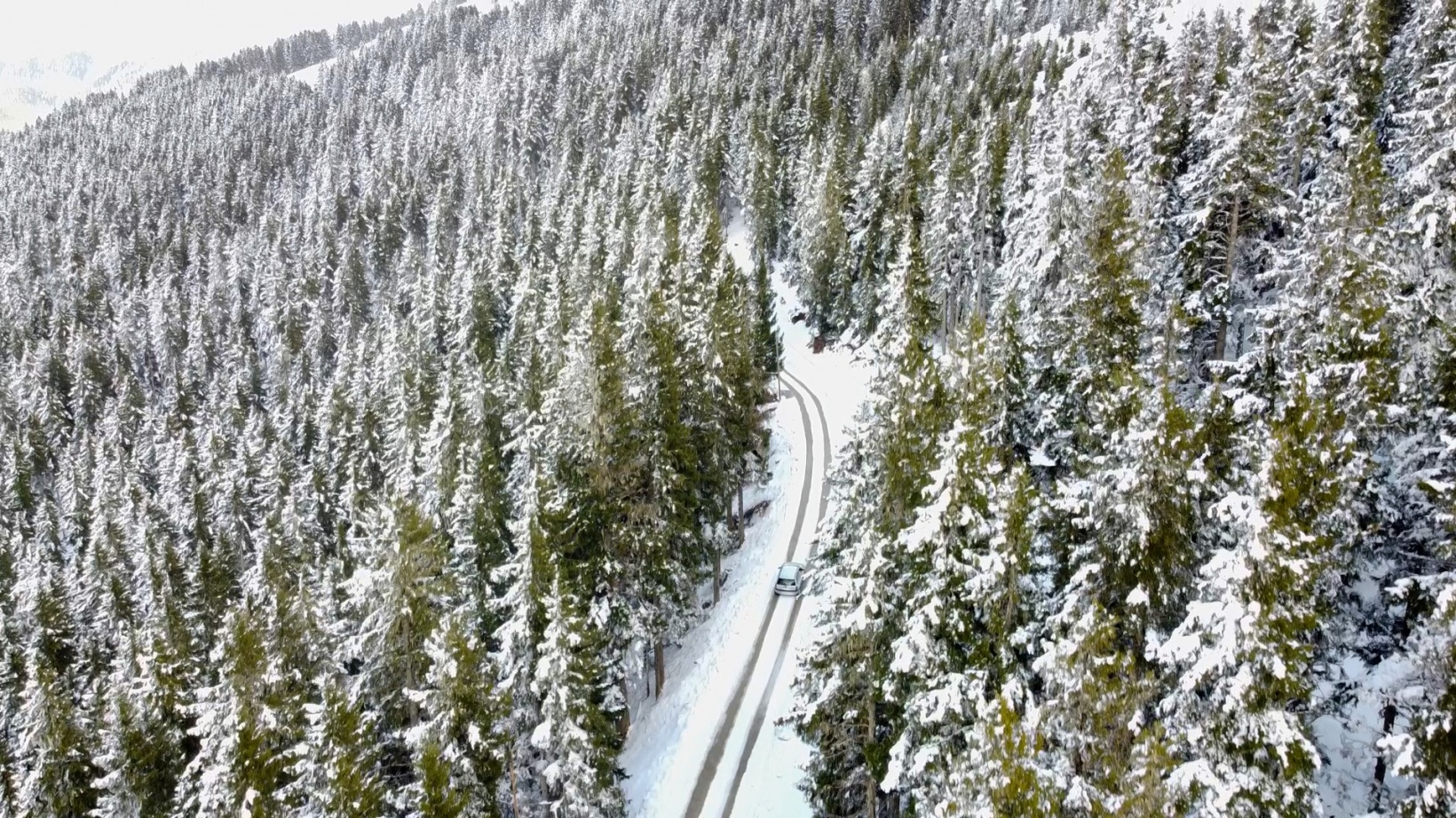 Gümüşhane yaylalarından Nisan ayında kar ve sis manzaraları 8