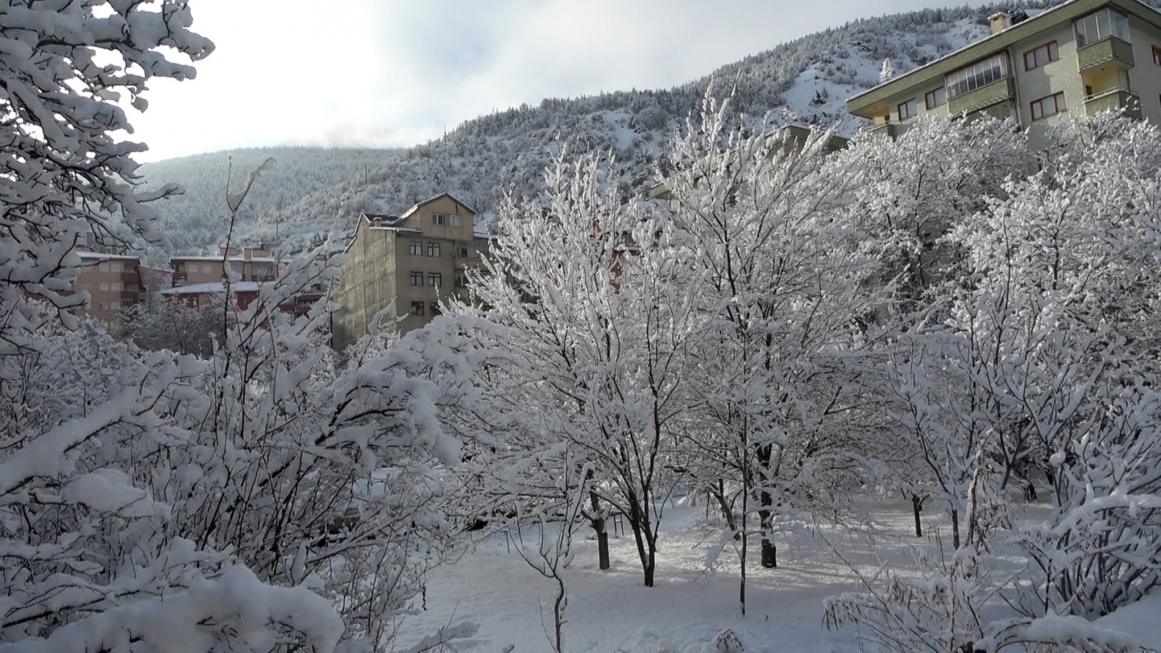 Gümüşhane’de karla gelen güzellik 2