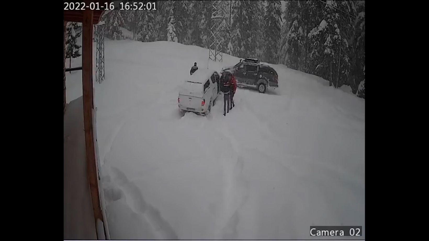 Yaylada mahsur kalan köpeklere devlet sahip çıktı 5