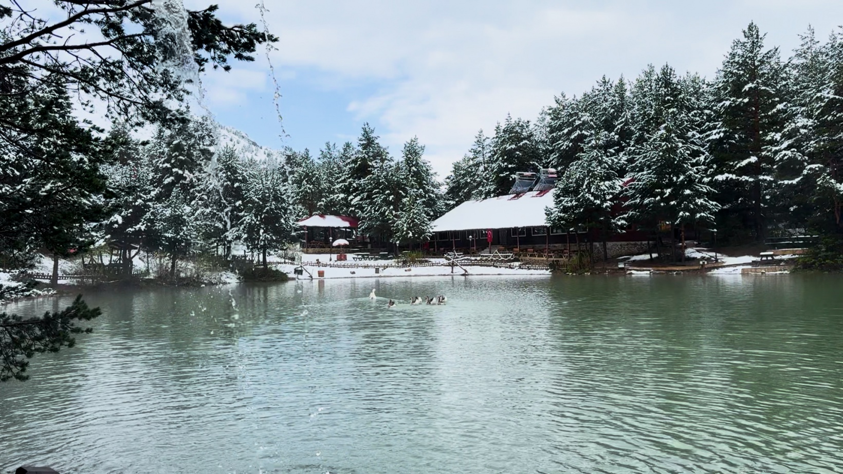 Gümüşhane’nin yüksekleri 5 Mayıs’ta beyaza büründü 2