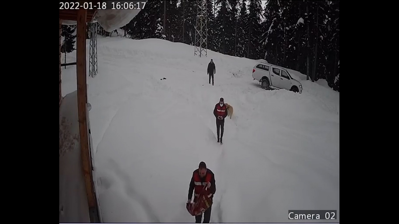 Yaylada mahsur kalan köpeklere devlet sahip çıktı 9