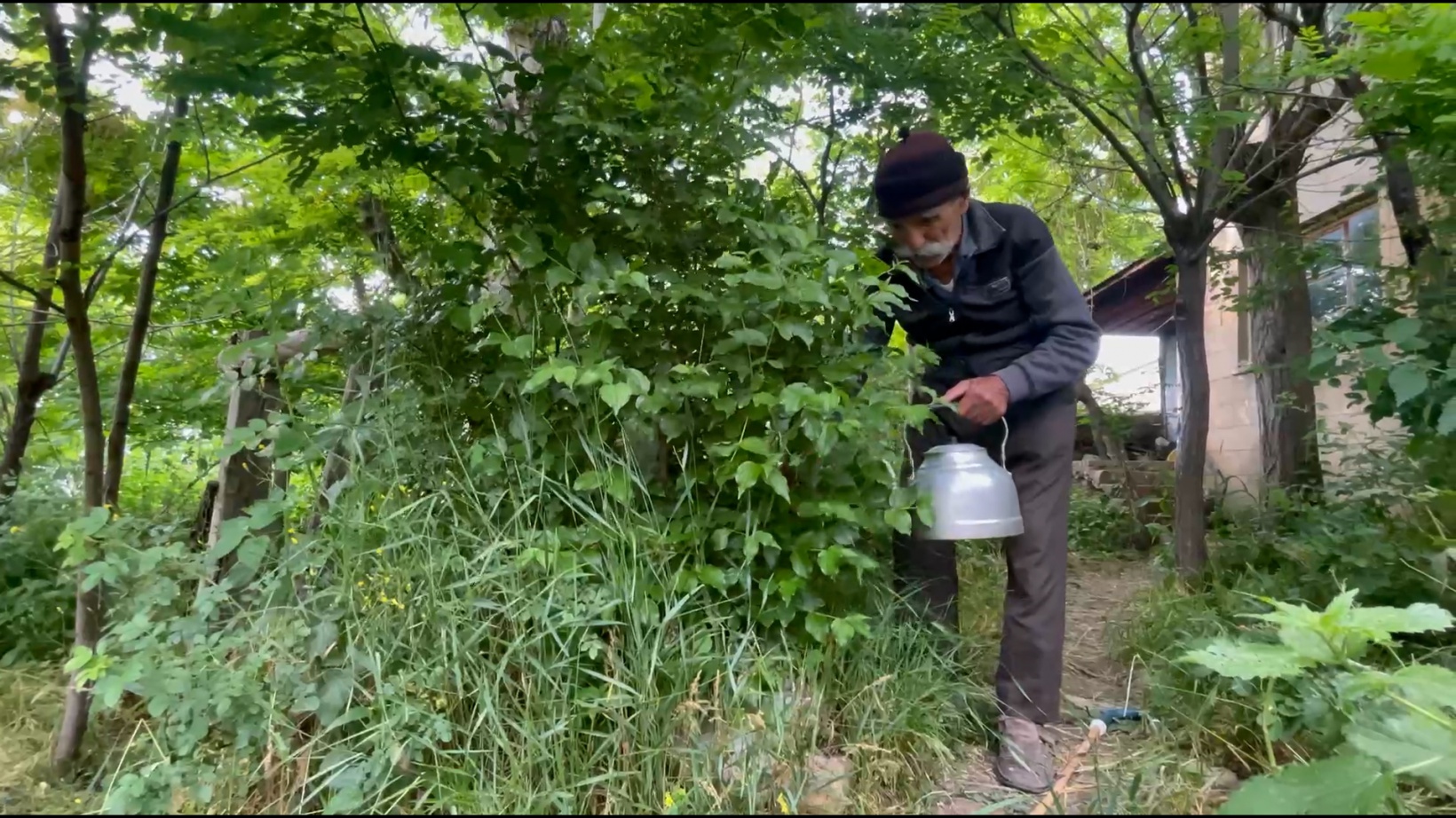 Görmeyen gözleriyle binlerce fidan yetiştirdi 12