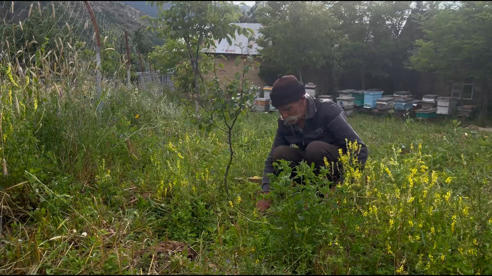 Görmeyen gözleriyle binlerce fidan yetiştirdi 17