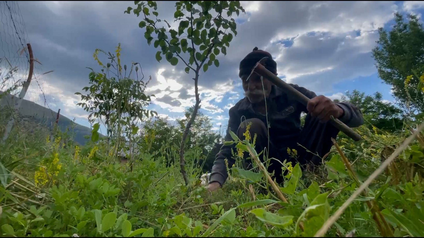 Görmeyen gözleriyle binlerce fidan yetiştirdi 19