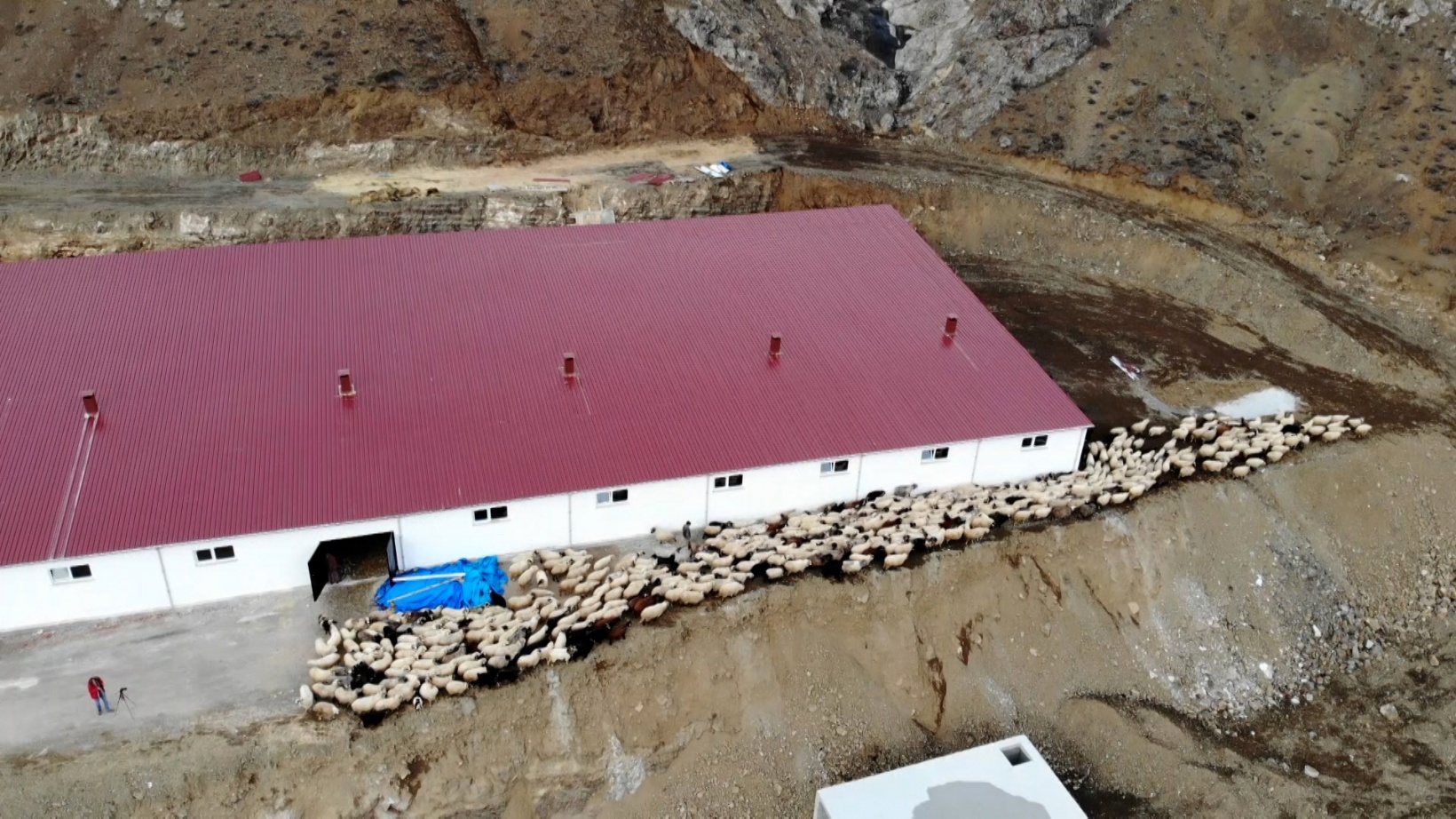 Gümüşhaneli kadınlar bileziklerini bozdurup hayvancılığa yatırım yaptı 3