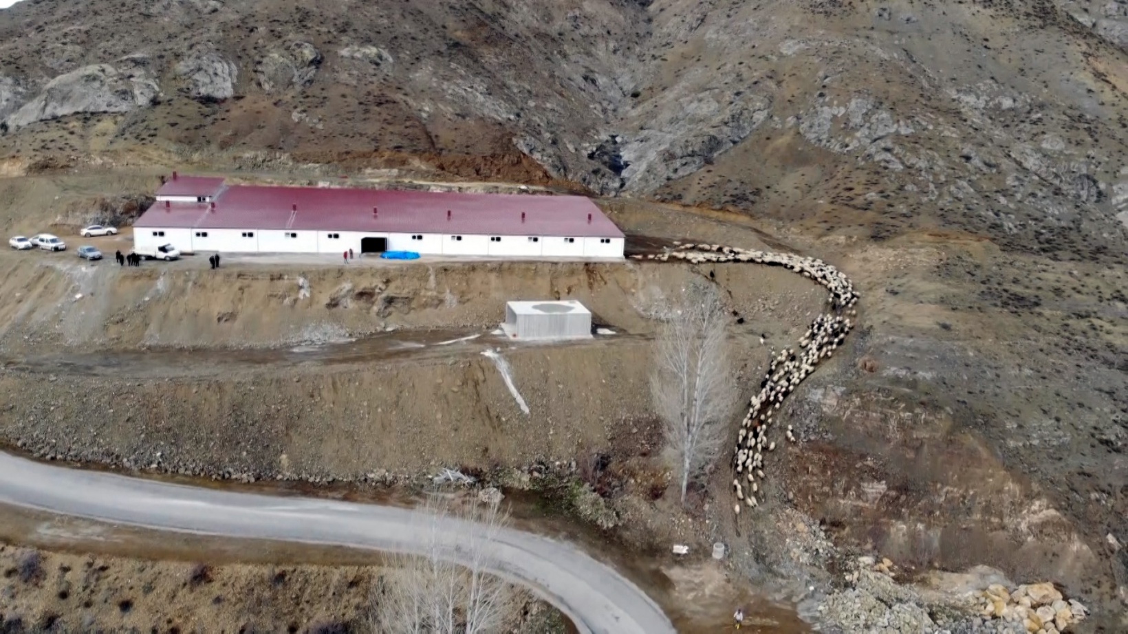 Gümüşhaneli kadınlar bileziklerini bozdurup hayvancılığa yatırım yaptı 2