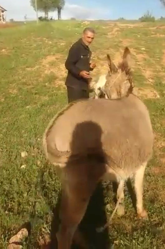 Sevginin böylesi... 4