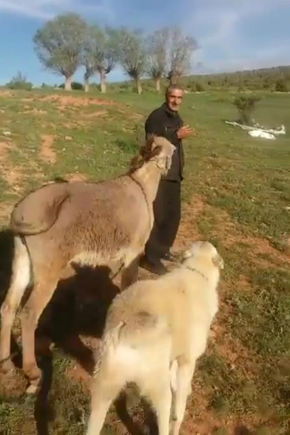 Sevginin böylesi... 6