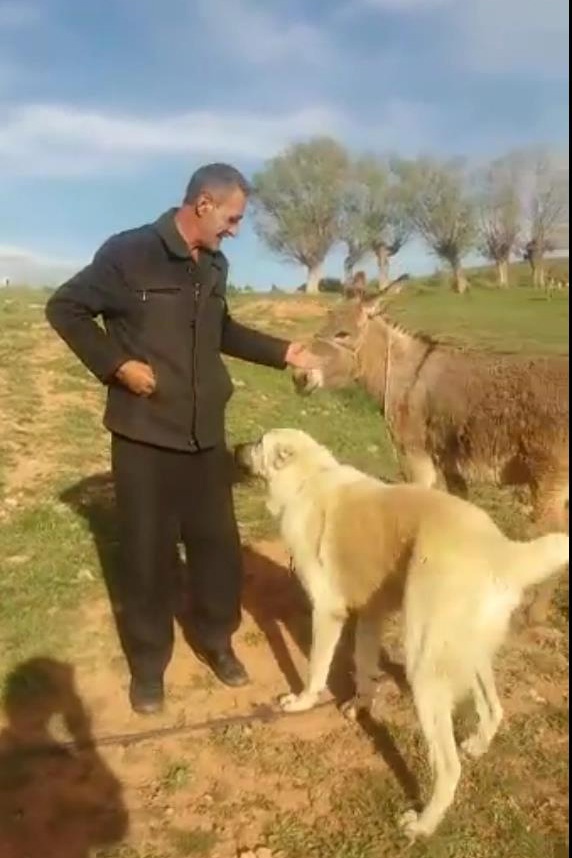 Sevginin böylesi... 8