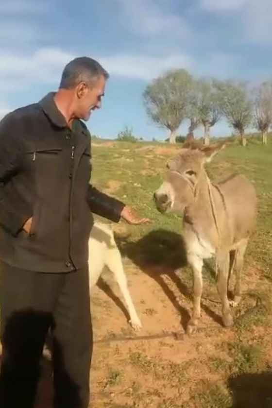 Sevginin böylesi... 7