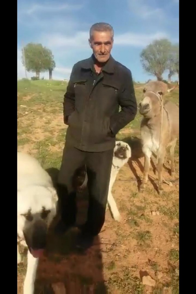 Sevginin böylesi... 2