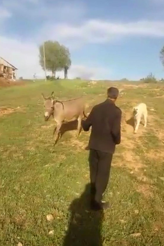 Sevginin böylesi... 5