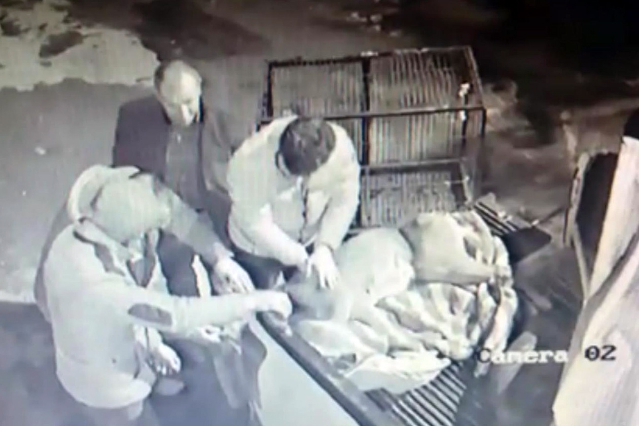 Kalp masajı yapılan yaralı Karaca kurtarılamadı 6