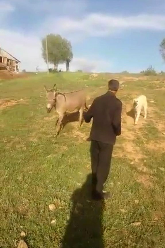 Sevginin böylesi... 3